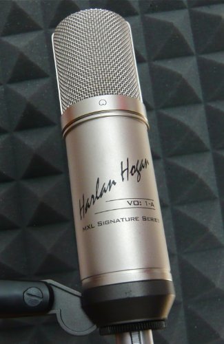The Best Microphones For Recording in Podcasting (2023) 6 Harlan Hogan